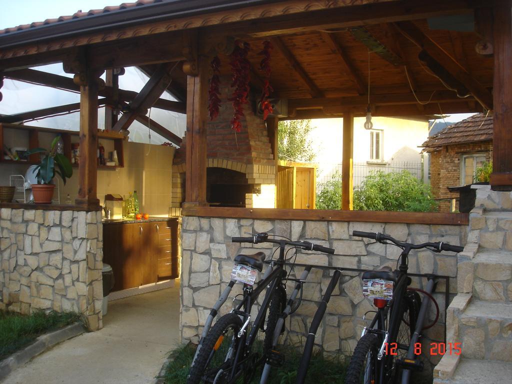 Guest House Camellia Berkovitsa Extérieur photo