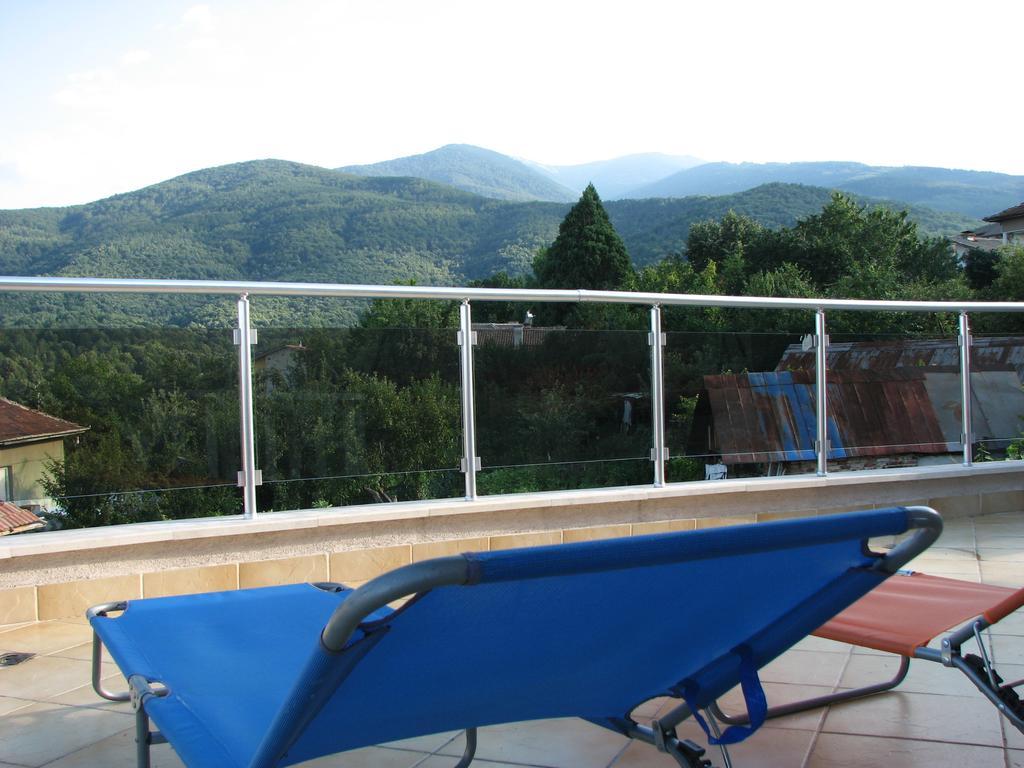 Guest House Camellia Berkovitsa Extérieur photo