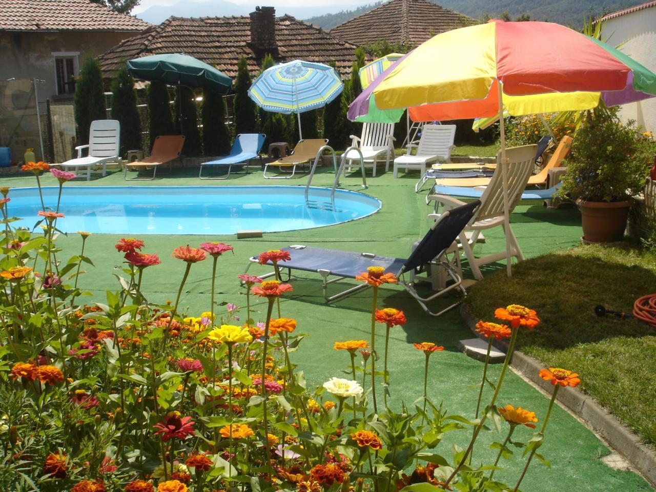 Guest House Camellia Berkovitsa Extérieur photo