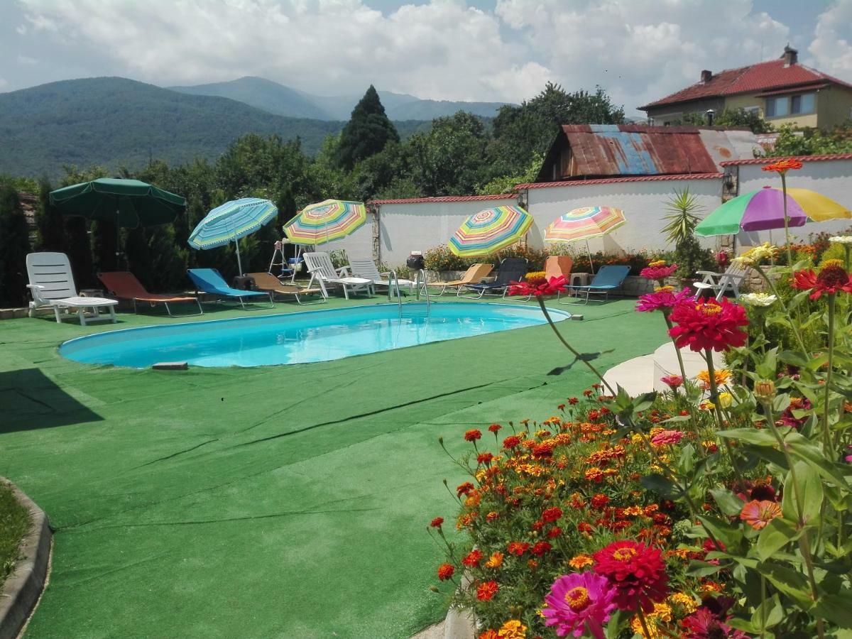 Guest House Camellia Berkovitsa Extérieur photo